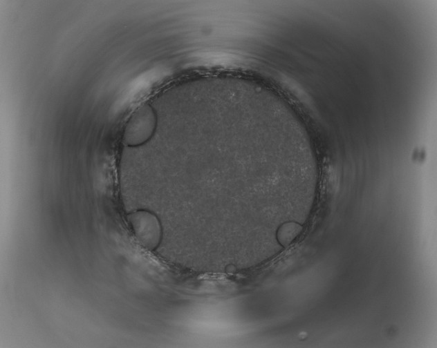 X0000112510918200908311329