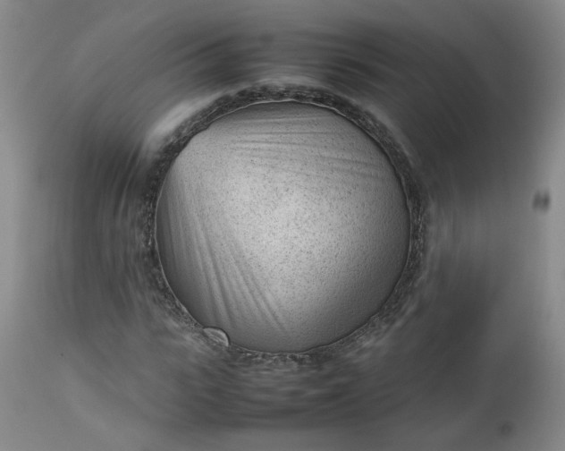 X0000112510919200908311329