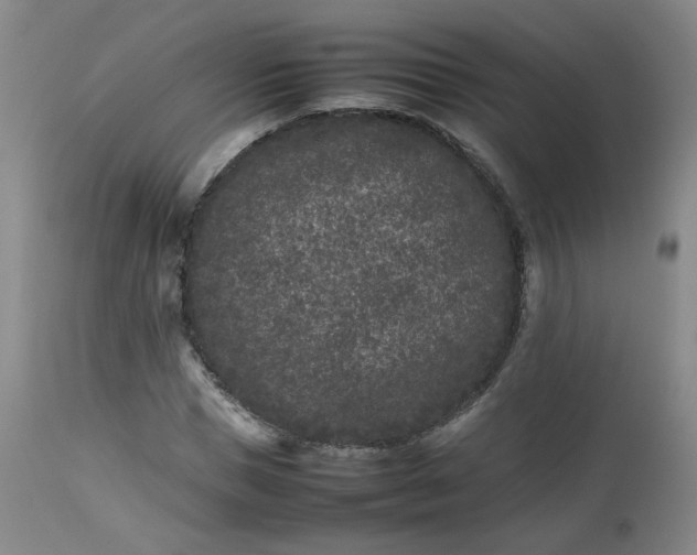 X0000112510921200908311329