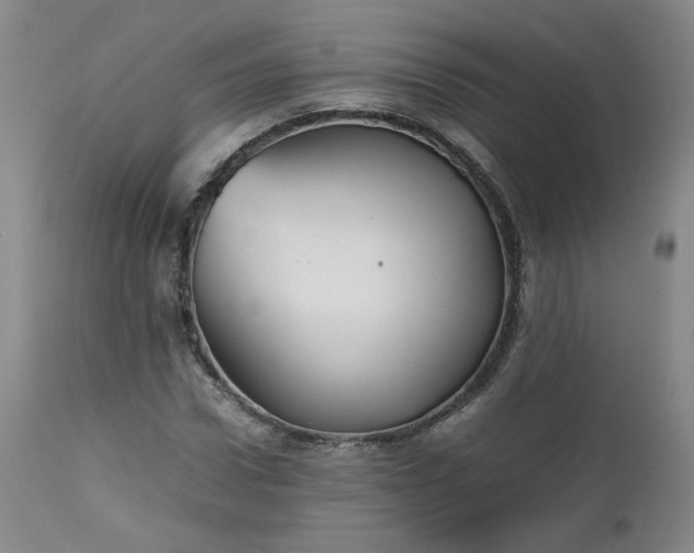 X0000112510922200908311329