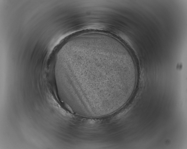 X0000112510923200908311329