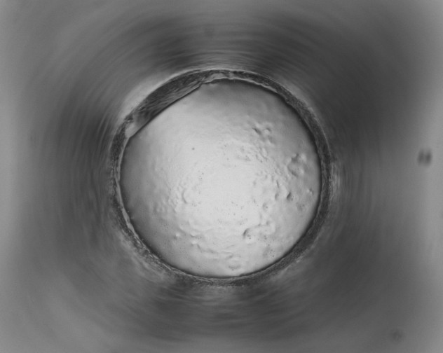 X0000112510925200908311329