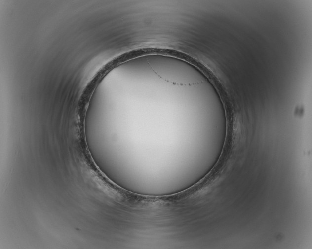 X0000112510926200908311329