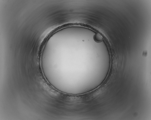 X0000112510927200908311329