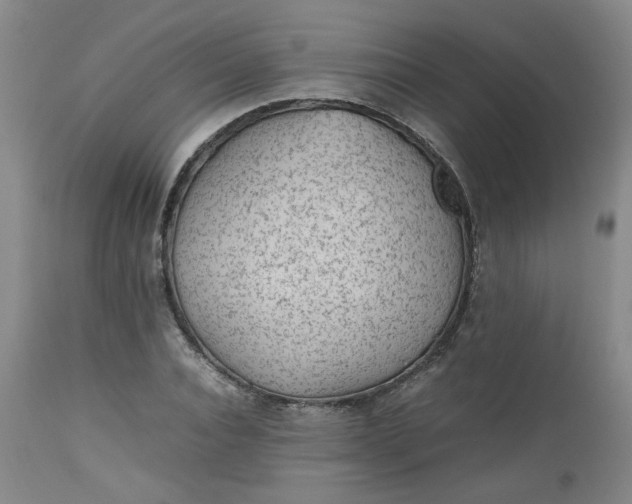 X0000112510928200908311329