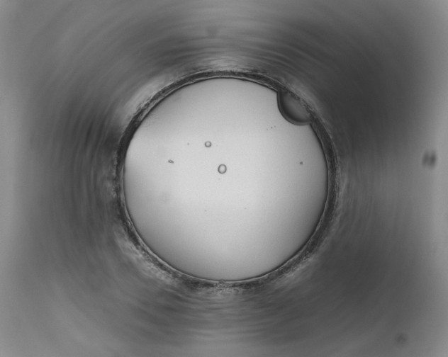 X0000112510930200908311329