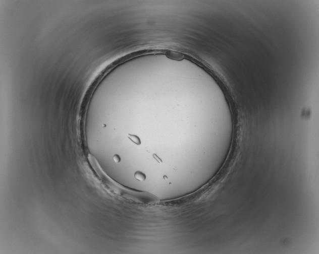 X0000112510932200908311329