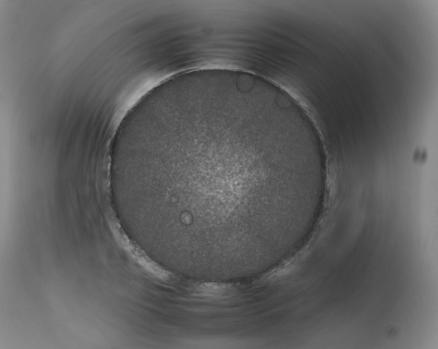 X0000112510933200908311329