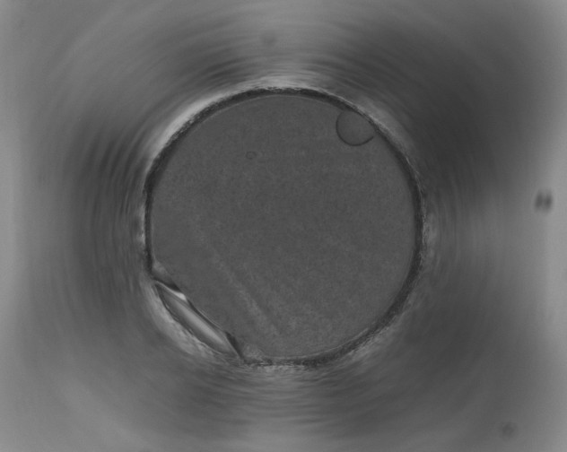 X0000112510934200908311329