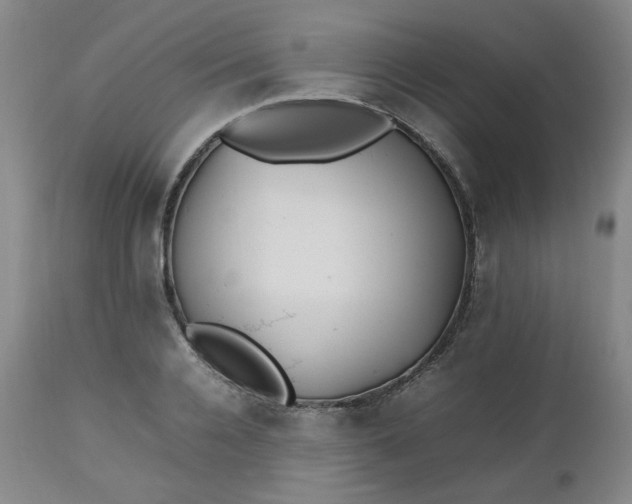 X0000112510936200908311329