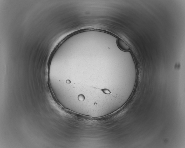 X0000112510940200908311329