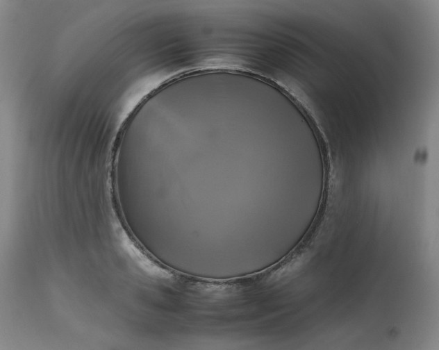 X0000112510941200908311329