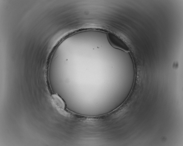 X0000112510942200908311329