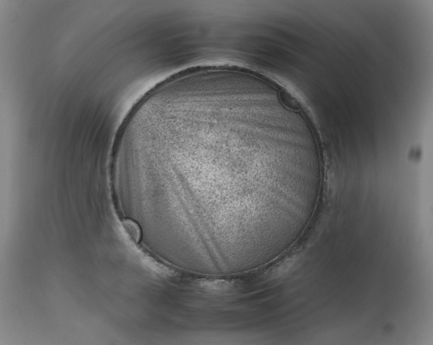 X0000112510943200908311329