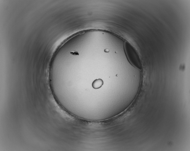 X0000112510944200908311329