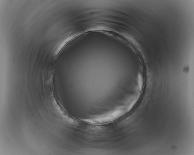 X0000112510945200908311329