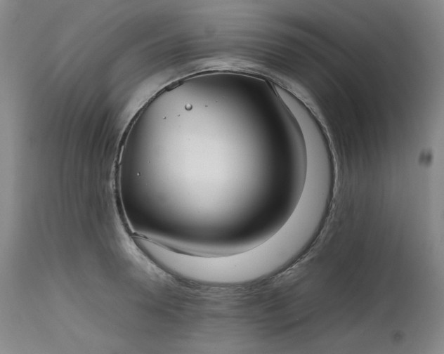 X0000112510946200908311329