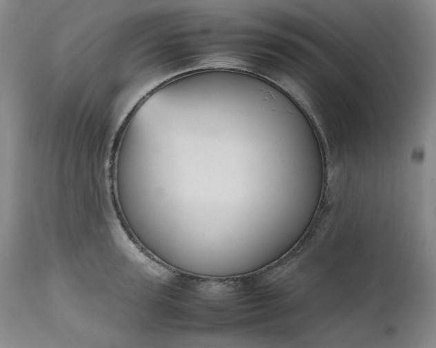 X0000112510947200908311329