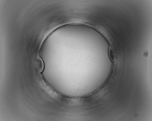 X0000112510948200908311329