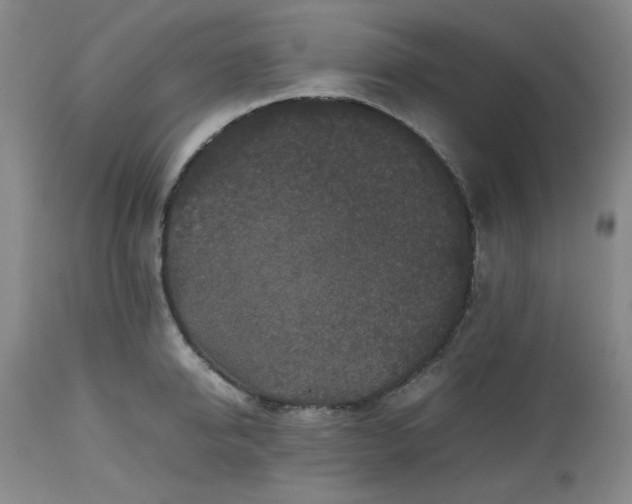 X0000112510950200908311329