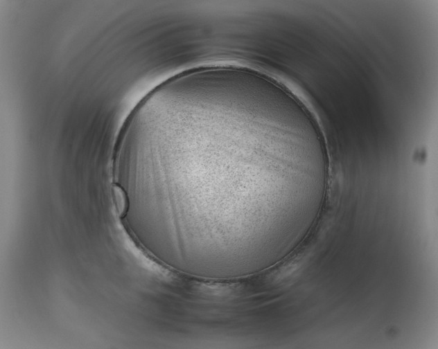 X0000112510951200908311329