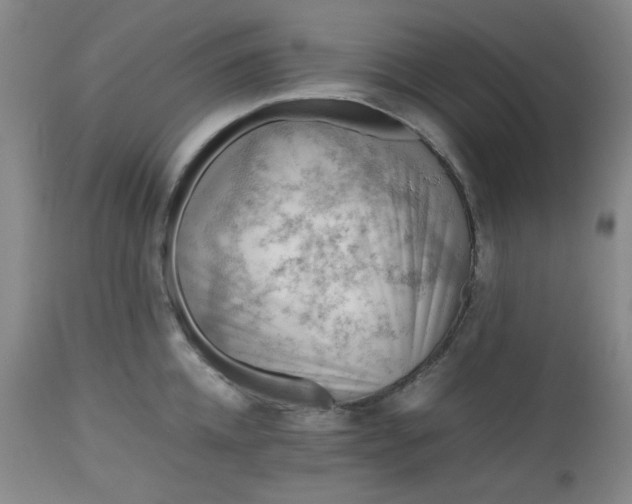 X0000112510952200908311329