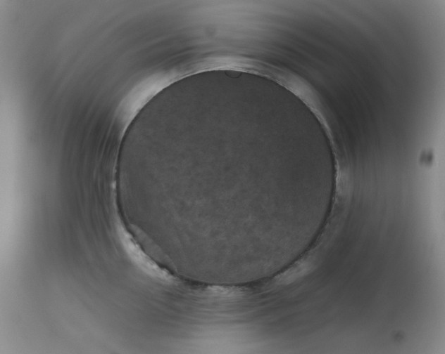 X0000112510954200908311329