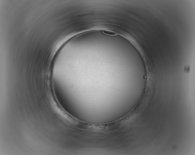 X0000112510955200908311329