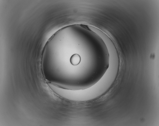 X0000112510956200908311329