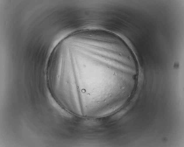 X0000112510957200908311329