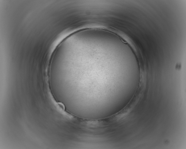 X0000112510959200908311329