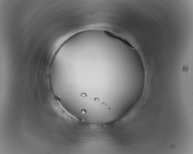 X0000112510960200908311329