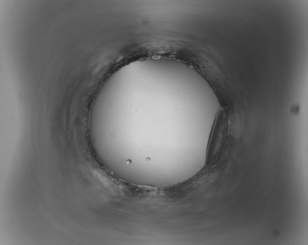 X0000112510961200908311329