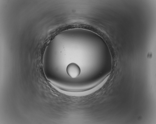 X0000112510965200908311329