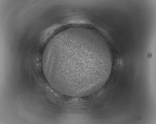 X0000112510966200908311329