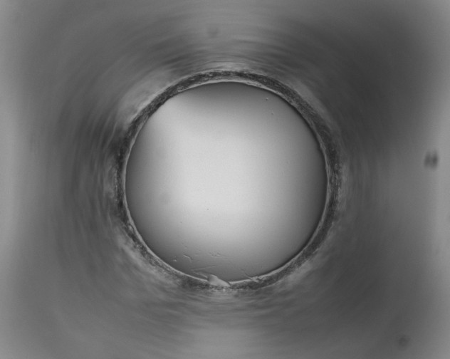 X0000112510969200908311328