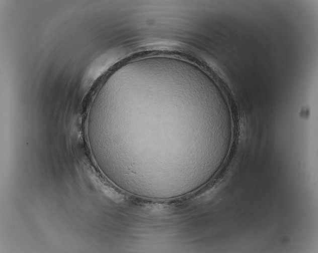 X0000112510970200908311328