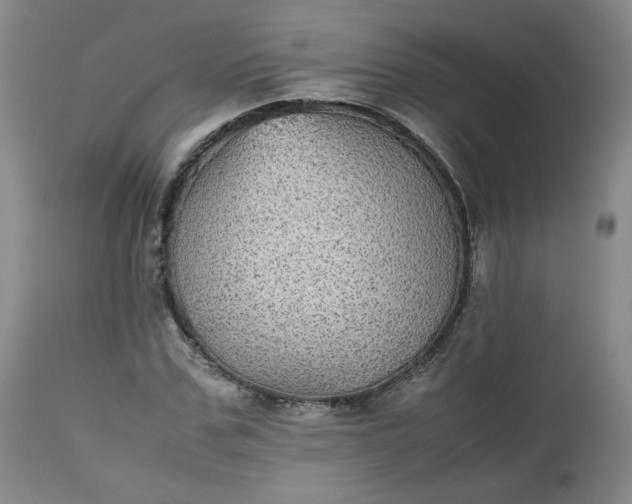 X0000112510971200908311328