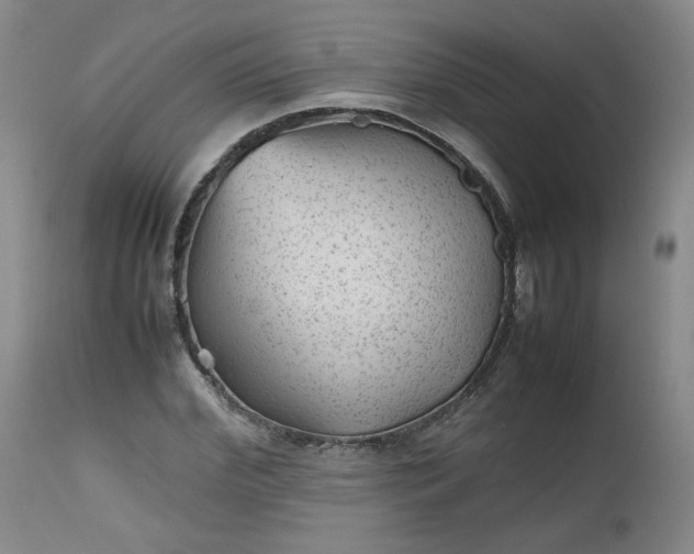 X0000112510972200908311328