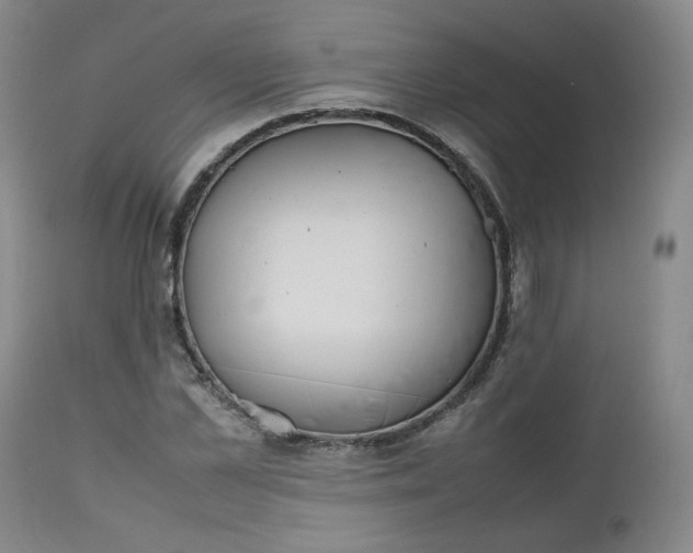 X0000112510973200908311328