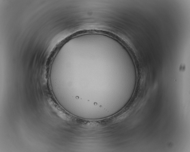 X0000112510974200908311328