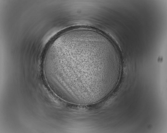 X0000112510975200908311328