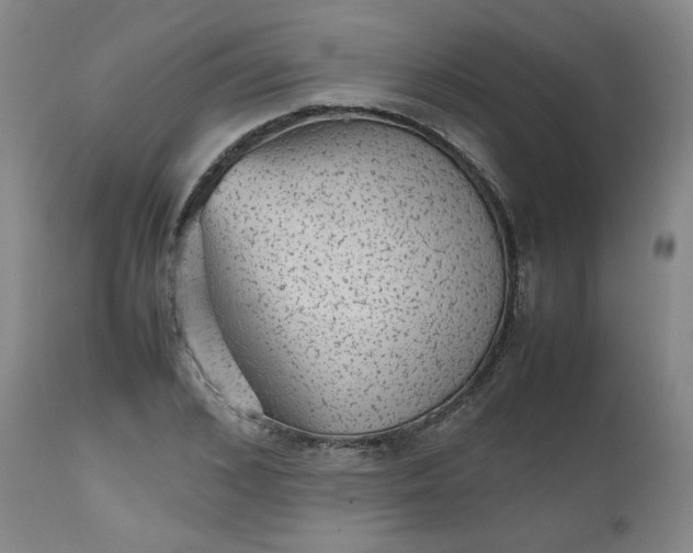 X0000112510976200908311328