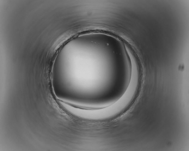 X0000112510977200908311328