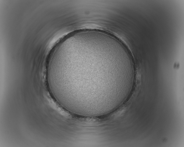 X0000112510979200908311328