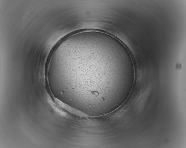 X0000112510980200908311328