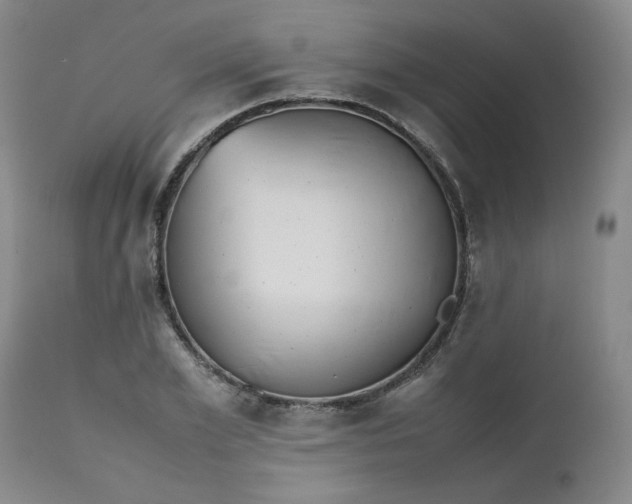 X0000112510981200908311328