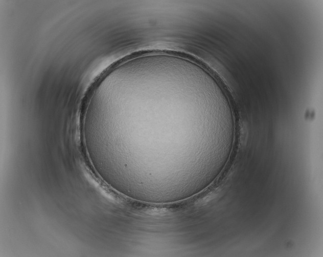 X0000112510982200908311328