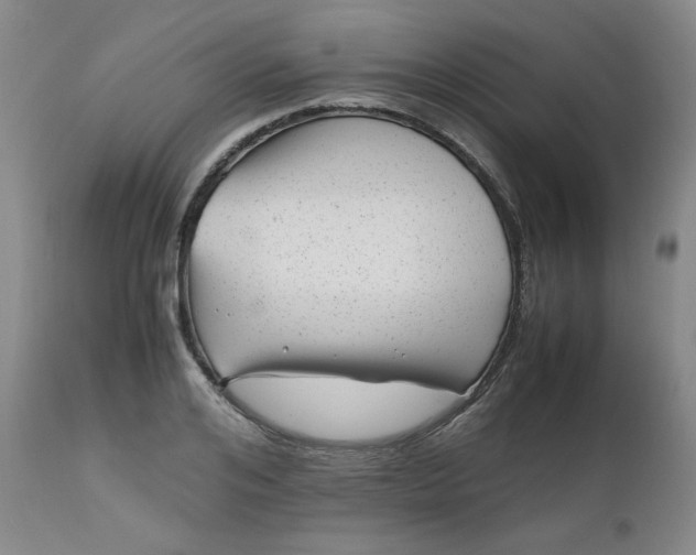 X0000112510984200908311328