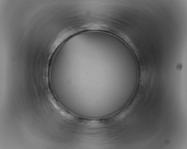 X0000112510986200908311328